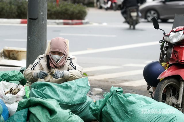 Miền Bắc tiếp tục đón không khí lạnh từ đêm nay